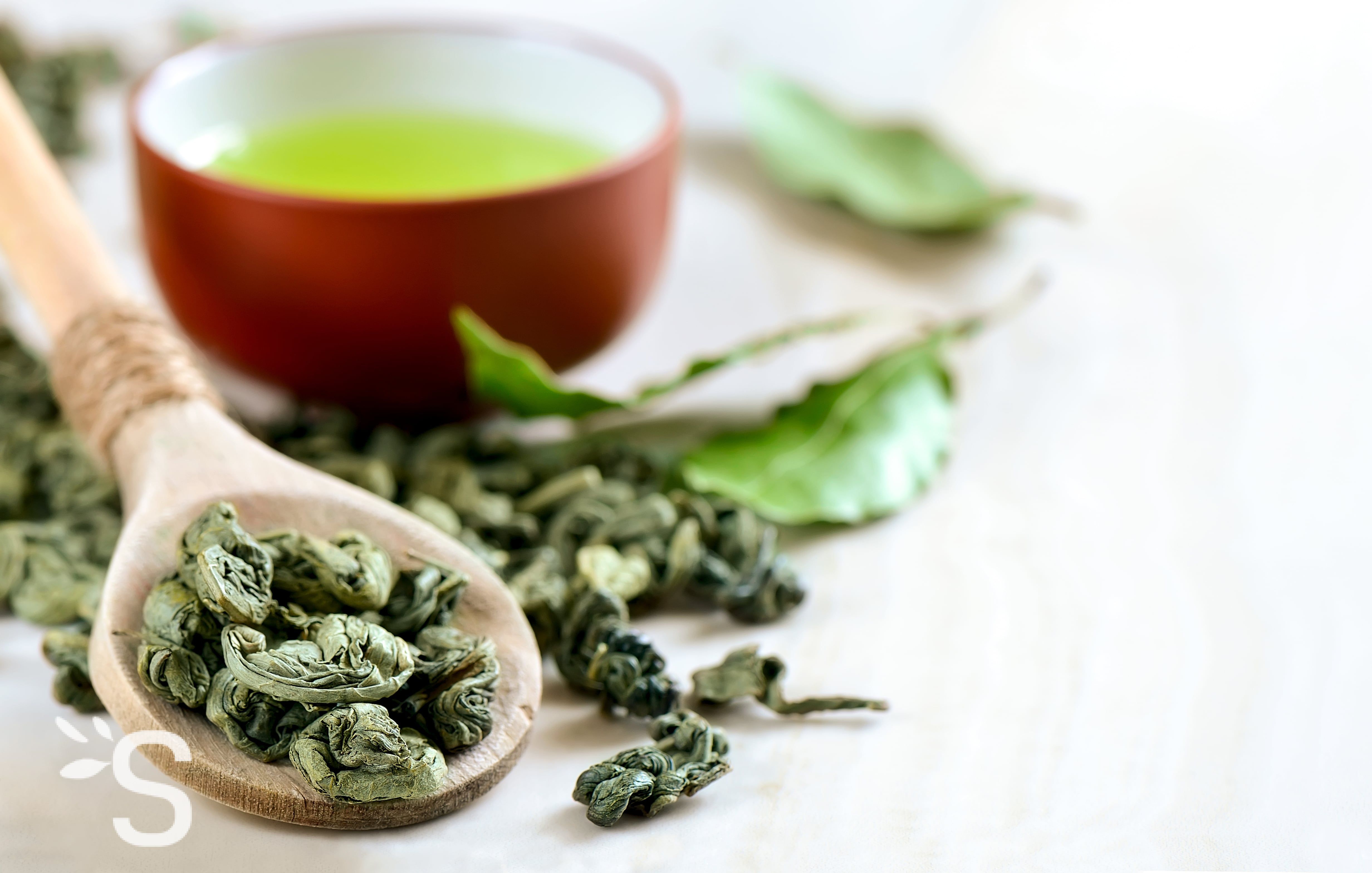 Зеленый попит. Зеленый чай. Свежий зеленый чай. Чашка зеленого чая. Green Tea чай.