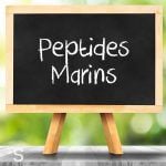 Peptides marins