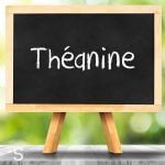 Théanine
