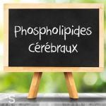 Phospholipides cérébraux