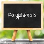 Polyphénols