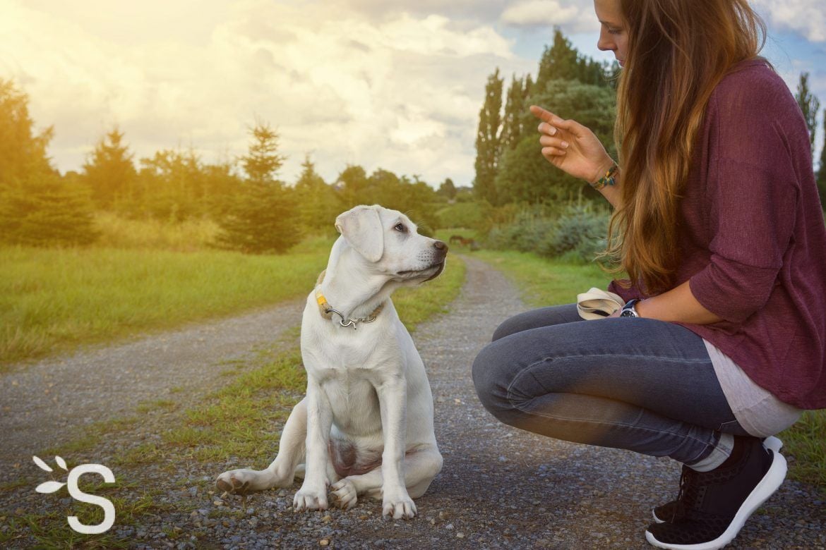 Soigner son chien naturellement