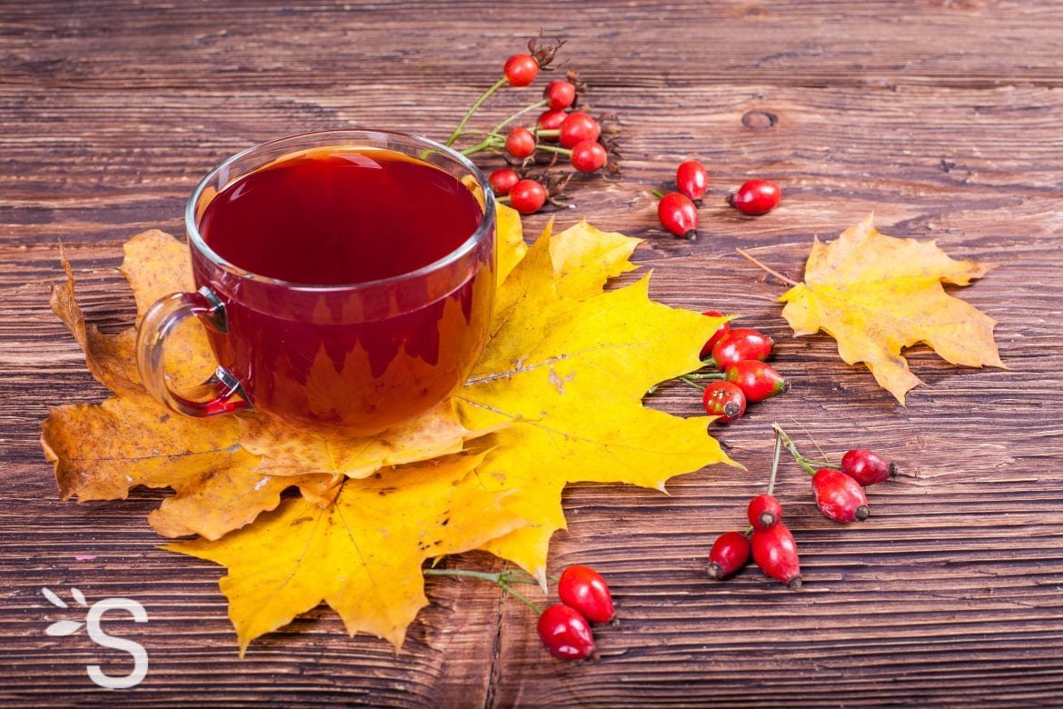 Tisane circulation sanguine