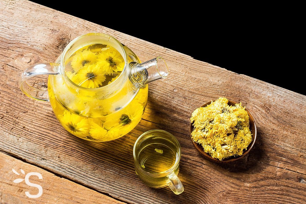 Chrysantellum americanum