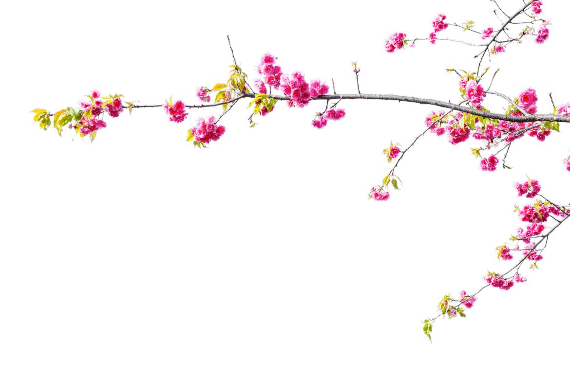 Grossesse Prévention et complémentation  1.