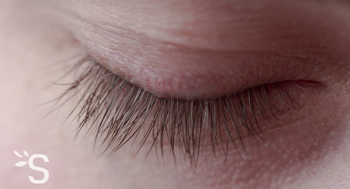 Tremblements des paupières