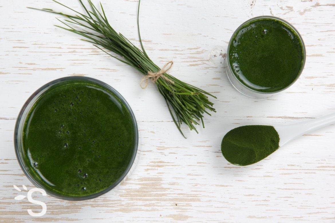 Végétarisme, végétalisme vegan et manque de fer