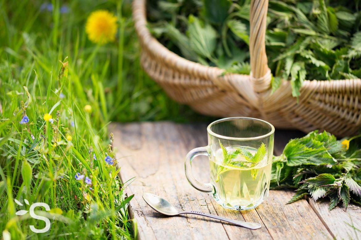 Fortifier les cheveux – ortie, prêle & millet